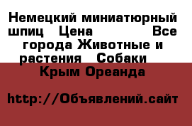 Немецкий миниатюрный шпиц › Цена ­ 60 000 - Все города Животные и растения » Собаки   . Крым,Ореанда